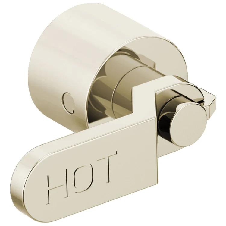 Handle Kit Litze Zinc 2 Industrial Lever Brilliance Luxe Gold ADA for Wall Mount Tub Filler - Frankwebs