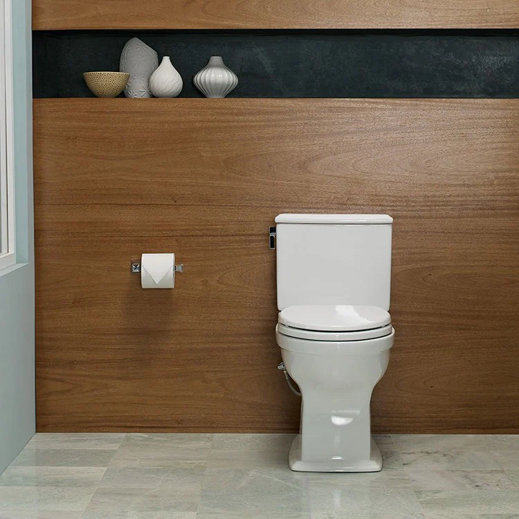 Connelly Close Coupled Elongated Toilet Bowl Only - Frankwebs