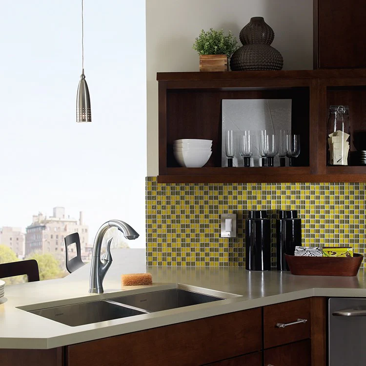 Linden Single Handle High Arc Pull Out Kitchen Faucet with Multi-Flow Technology - Frankwebs