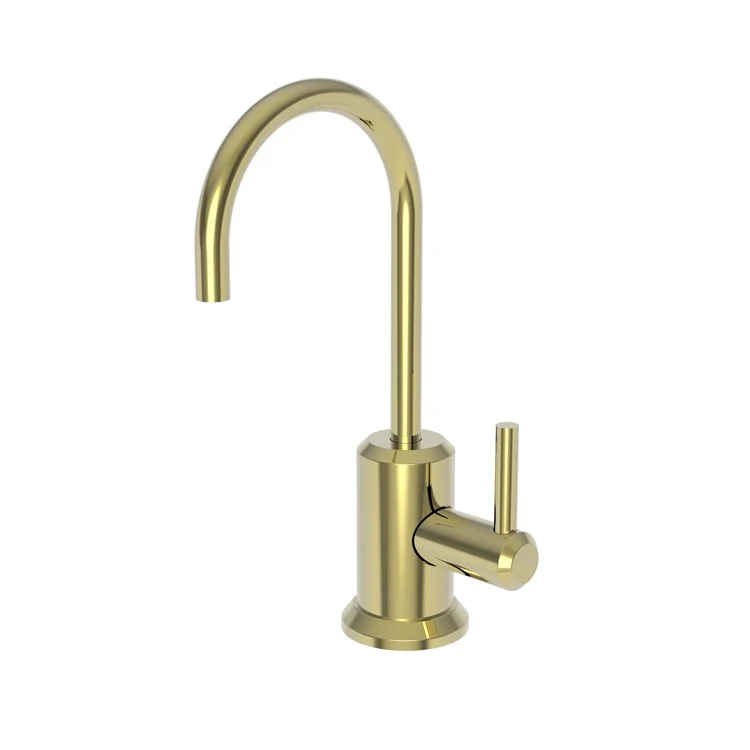 Cold Water Dispenser Jeter 1 Lever ADA Gooseneck Polished Brass Uncoated Living - Frankwebs
