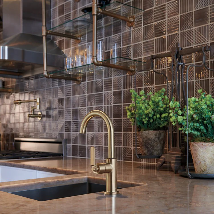 Litze Single Handle Bar Faucet with High-Arc Spout/Industrial Handle - Frankwebs