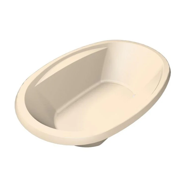 Combination Tub Designer Collection Galaxie 60 x 38 x 19 Inch Drop-In Center Drain Biscuit Oval - Frankwebs