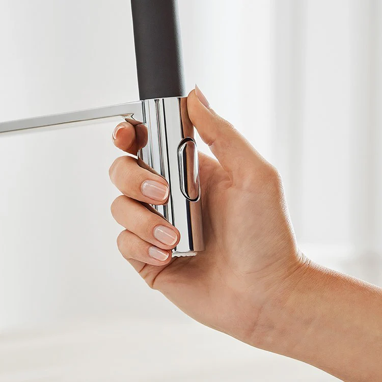 Concetto Professional Pull-Down Kitchen Faucet - Frankwebs