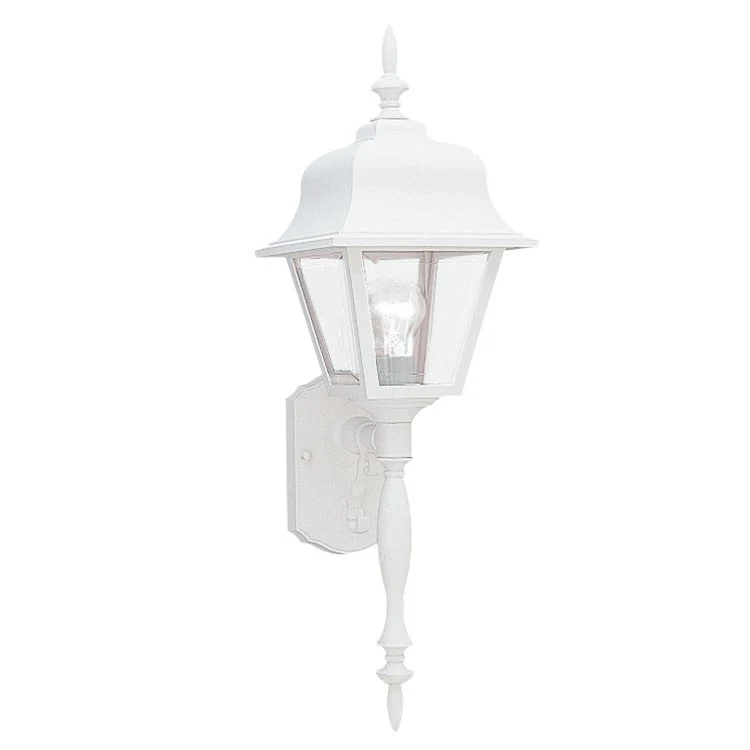 Polycarbonate Outdoor Single-Light Outdoor Wall Lantern - Frankwebs