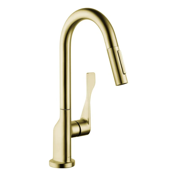 Prep Faucet Citterio 1 Lever ADA Brushed Black Chrome 2 Function Pull Down 360 DEG Swivel 1 Hole - Frankwebs