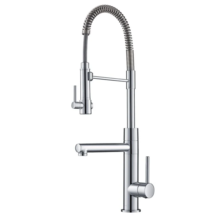Artec Pro Spot Free 2-Function Commercial-Style Pre-Rinse Kitchen Faucet with Pull Down Spring Spout and Pot Filler - Frankwebs