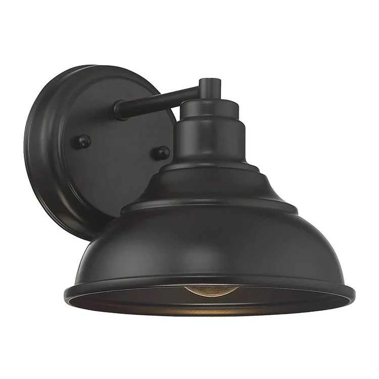 Dunston Single-Light Dark Sky Outdoor Wall Mount Sconce - Frankwebs