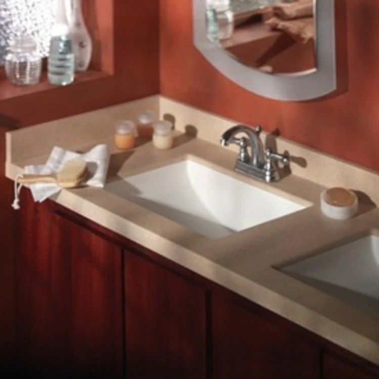 Lavatory Bowl 1 Bowl Undermount 19 x 13 Inch Bisque 6-1/4 Inch 1 Hole - Frankwebs