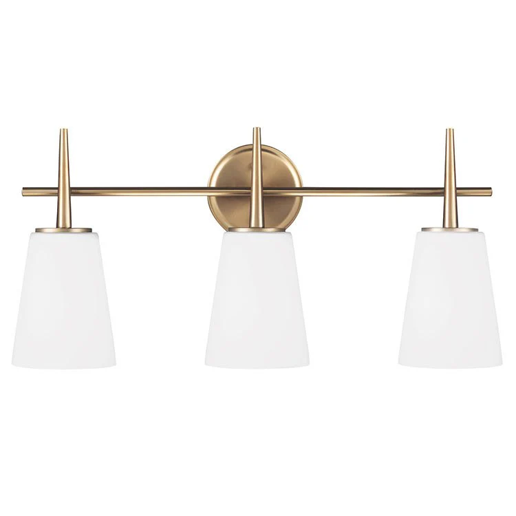 Driscoll Three-Light LED Bathroom Vanity Fixture - Frankwebs