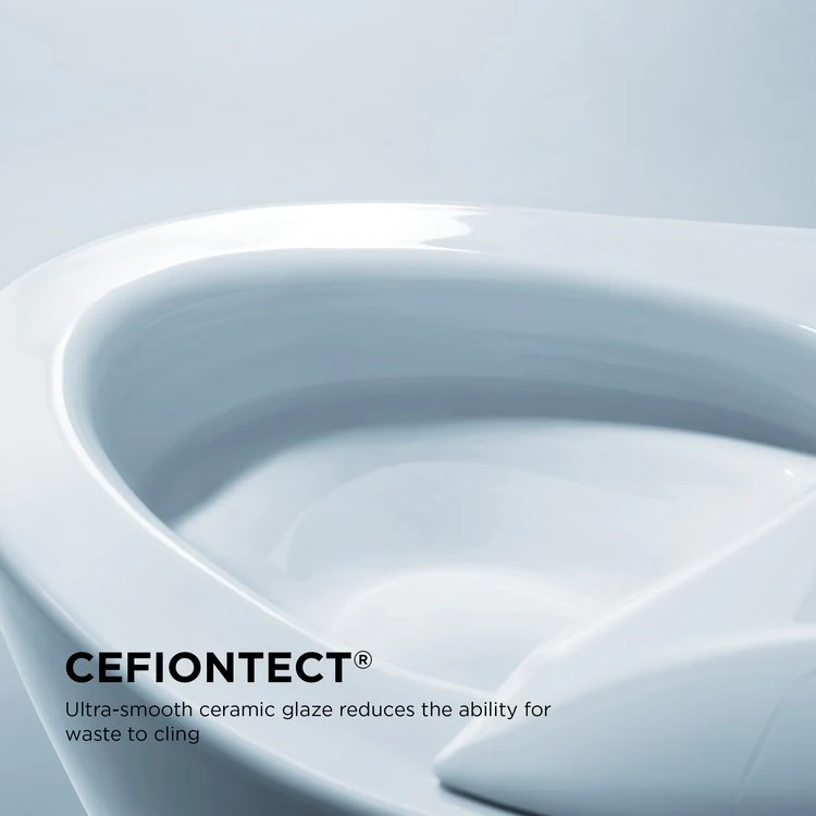 Carlyle II Elongated One-Piece High-Efficiency Toilet with Seat - Frankwebs