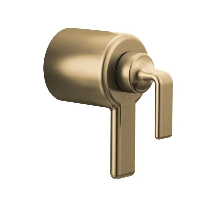 Handle Kit Allaria Zinc 1 Twist Lever Brilliance Black Onyx ADA for Tempassure Thermostatic Valve Trim - Frankwebs