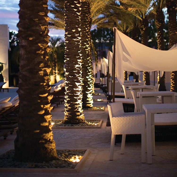 Hardy Island Single-Light MR-16 Landscape Flat Top Well Light - Frankwebs