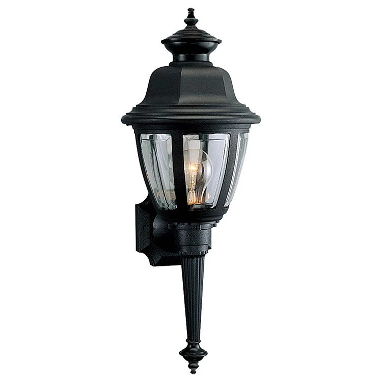 Non-Metallic Single-Light Wall Torch Lantern - Frankwebs
