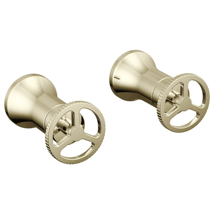 Handle Kit Trinsic Zinc 2 Wheel Wall Mount Chrome for Lavatory Faucet - Frankwebs