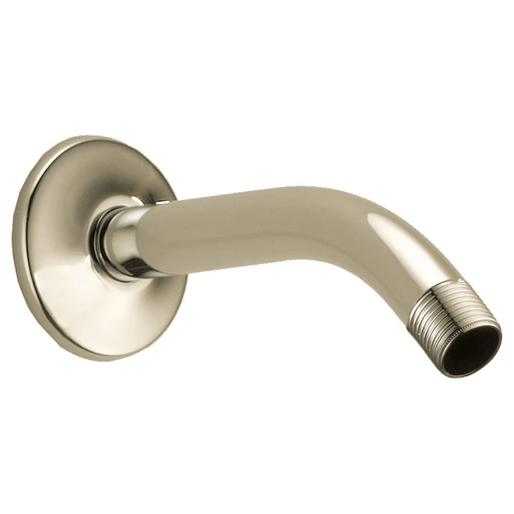 Replacement Shower Arm and Flange - Frankwebs