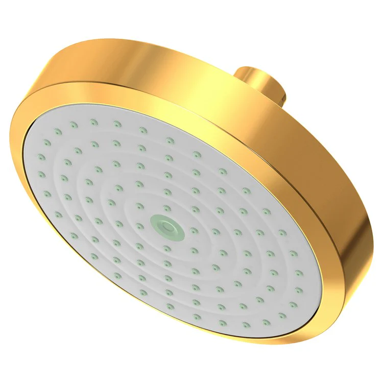 Showerhead Newport Bath 1 Function French Gold PVD 5-15/16 Inch 1.8 Gallons per Minute Rubber NZL - Frankwebs