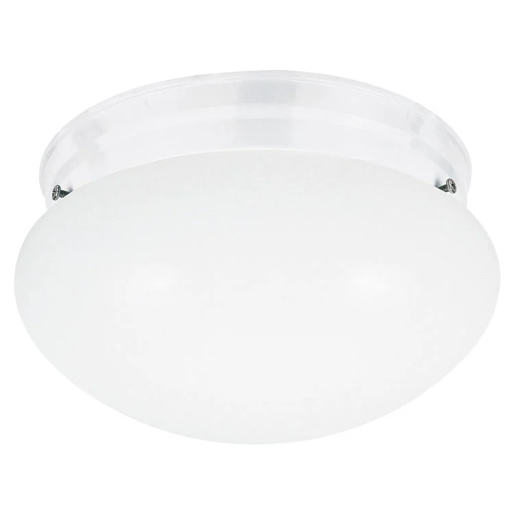 Webster Two-Light LED Flush Mount Ceiling Fixture - Frankwebs