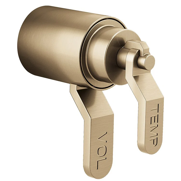 Litze Replacement Industrial Lever Handle for TempAssure Thermostatic Valve - Frankwebs