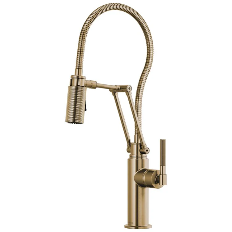 Kitchen Faucet Litze with Finished Hose 1 Round Lever ADA Brilliance Luxe Gold 1.8 Gallons per Minute - Frankwebs
