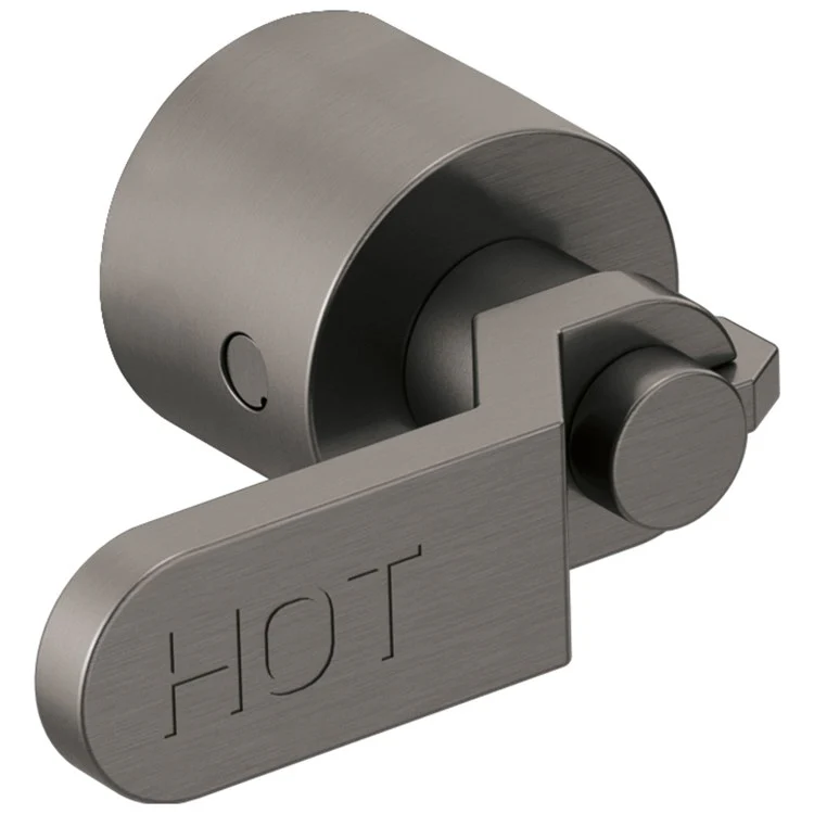 Handle Kit Litze Zinc 2 Industrial Lever Brilliance Luxe Gold ADA for Wall Mount Tub Filler - Frankwebs