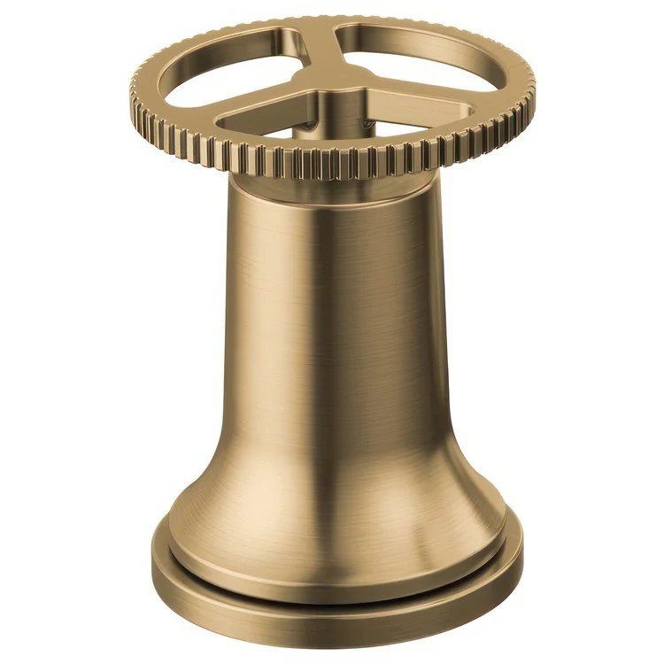 Handle Kit Trinsic Brilliance Stainless for Roman Tub - Frankwebs