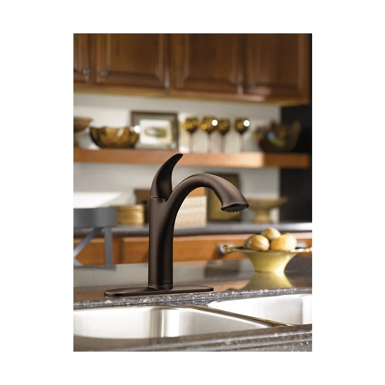 Camerist Single Handle Pull Out Kitchen Faucet - Frankwebs