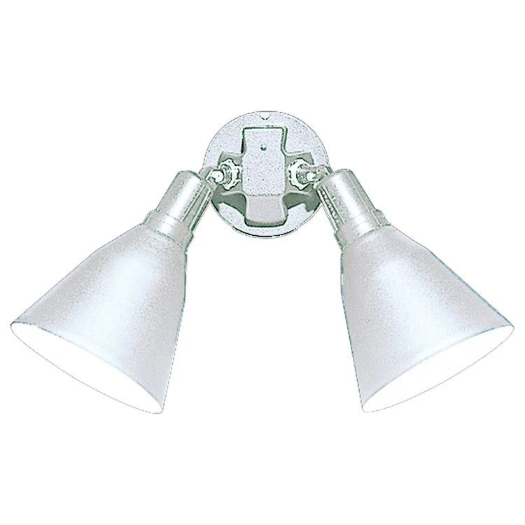 Two-Light Adjustable Swivel Flood Light - Frankwebs