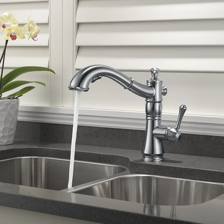 Cassidy Single Handle Pull Out Kitchen Faucet - Frankwebs