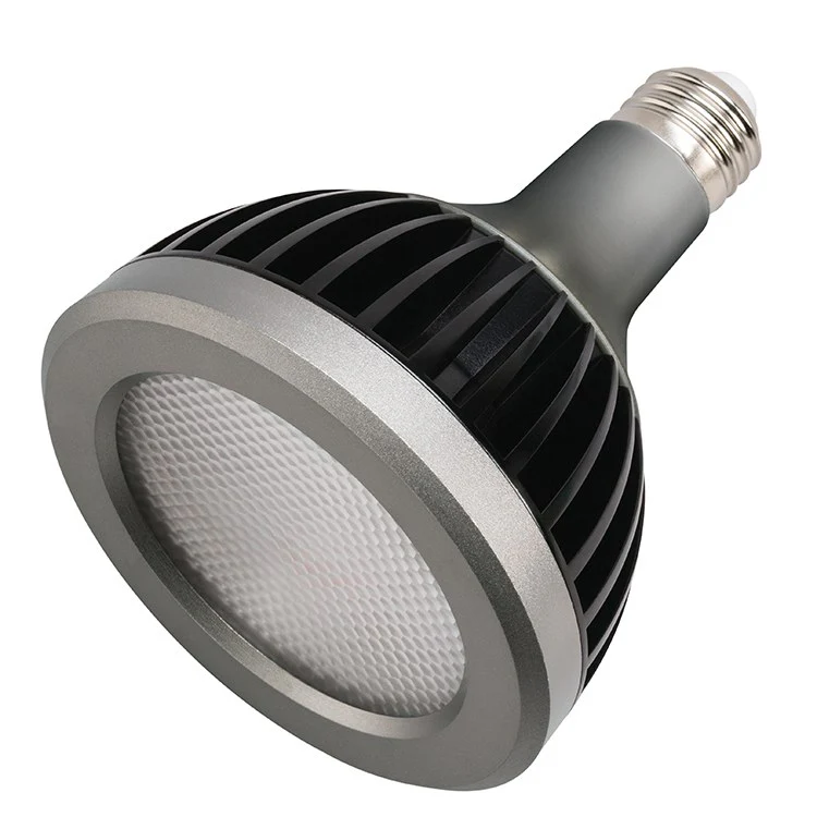 Landscape PAR30L 13-Watt 3000K 40-Degree LED Light Bulb - Frankwebs