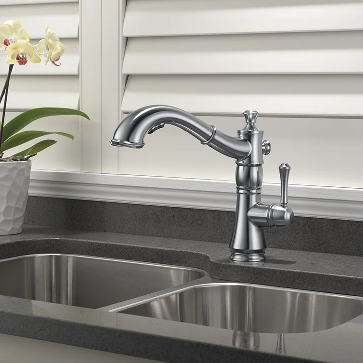Cassidy Single Handle Pull Out Kitchen Faucet - Frankwebs