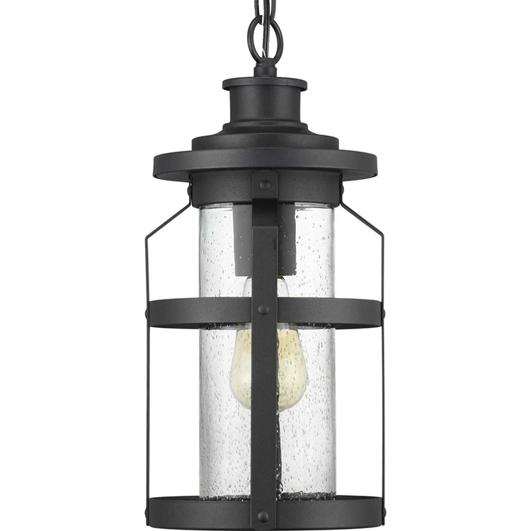 Haslett Single-Light Outdoor Hanging Lantern - Frankwebs