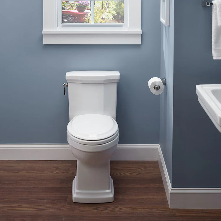 Promenade II 1G One-Piece High-Efficiency Elongated Toilet - Frankwebs