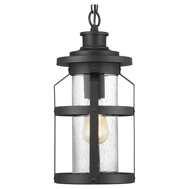 Haslett Single-Light Outdoor Hanging Lantern - Frankwebs
