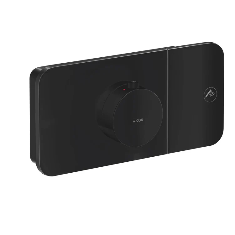 Thermostatic Trim One Module 1 Function 1 Knob Matte Black for Requires Rough 45710181 - Frankwebs