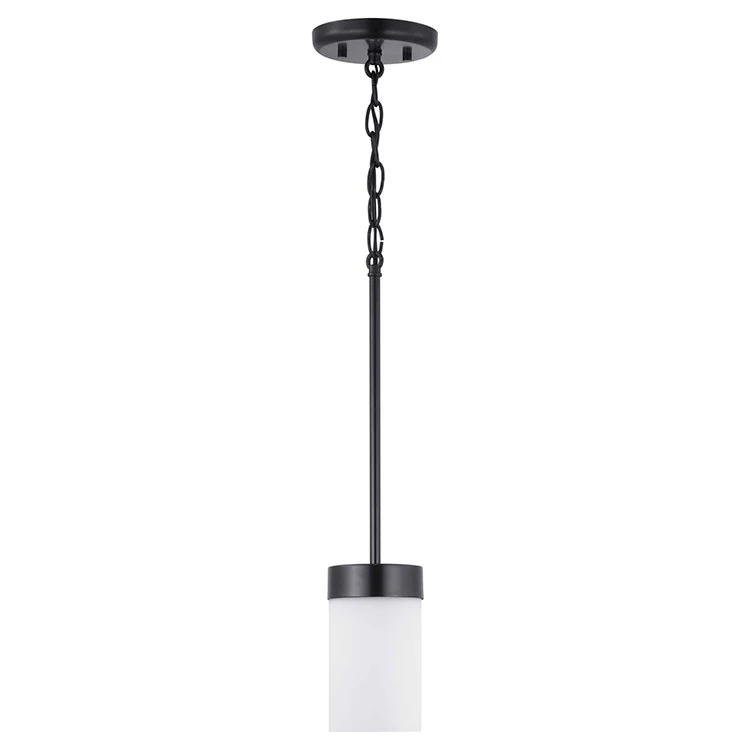 Elevate Single-Light Mini-Pendant - Frankwebs