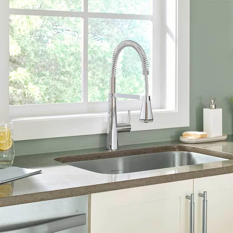 Edgewater SelectFlo Semi-Professional Single Handle Kitchen Faucet - Frankwebs