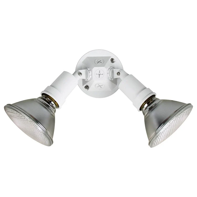 Two-Light Non-Metallic Flood Light - Frankwebs