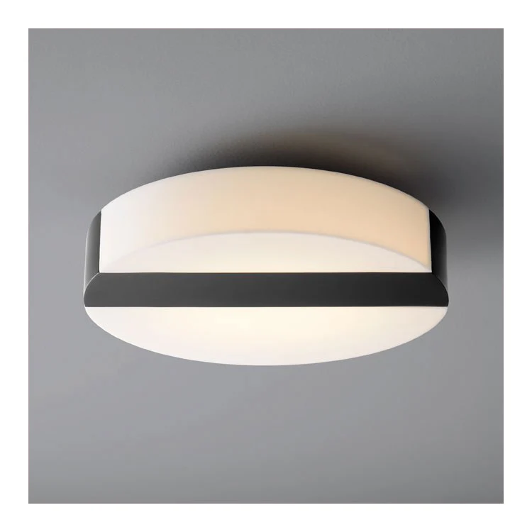 Aurora Single-Light Flush Mount Ceiling Fixture - Black - Frankwebs