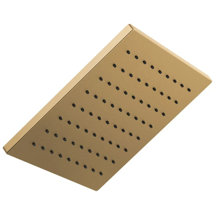 Showerhead Universal Showering 1 Function Rain Can Brilliance Luxe Gold 11-3/4 Inch 1.75 Gallons per Minute Linear Square - Frankwebs
