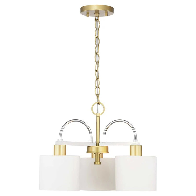 Rigsby Three-Light Convertible Semi-Flush Mount Ceiling Fixture/Pendant - Frankwebs