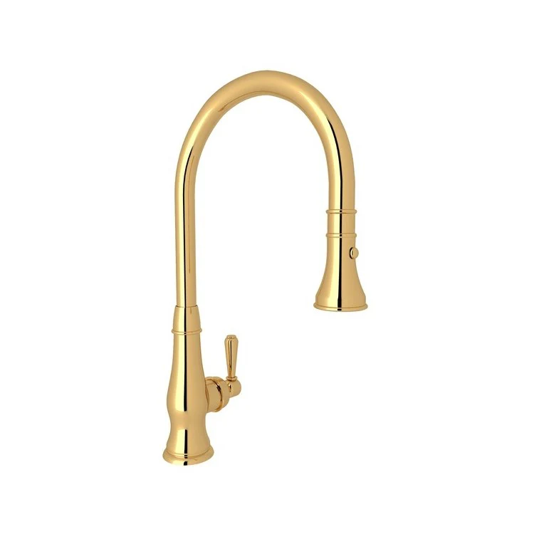 Kitchen Faucet Patrizia Pull Down 1 Metal Lever Polished Nickel 1.8 Gallons per Minute - Frankwebs