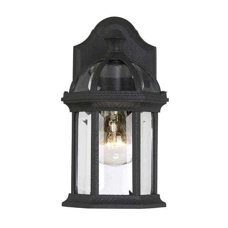 Kensington Single-Light Outdoor Wall Mount Lantern - Frankwebs