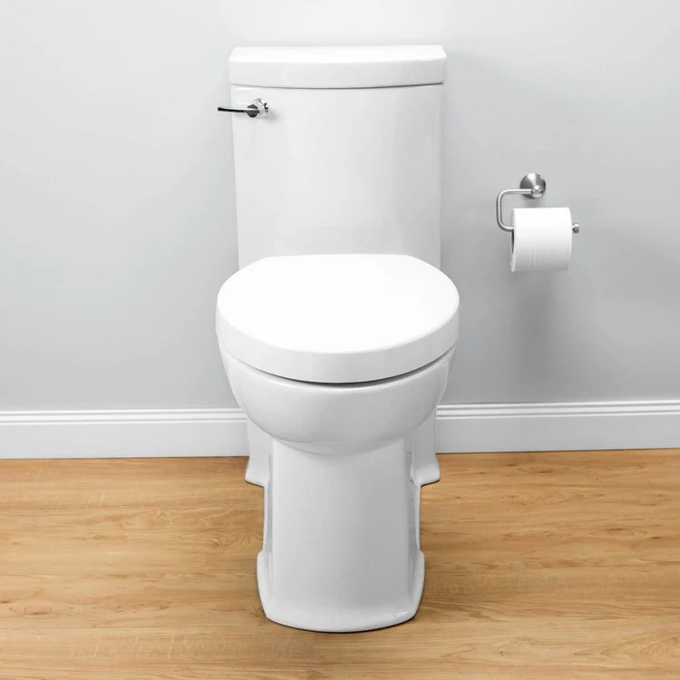 Boulevard Right Height FloWise Elongated 1-Piece Toilet - Frankwebs