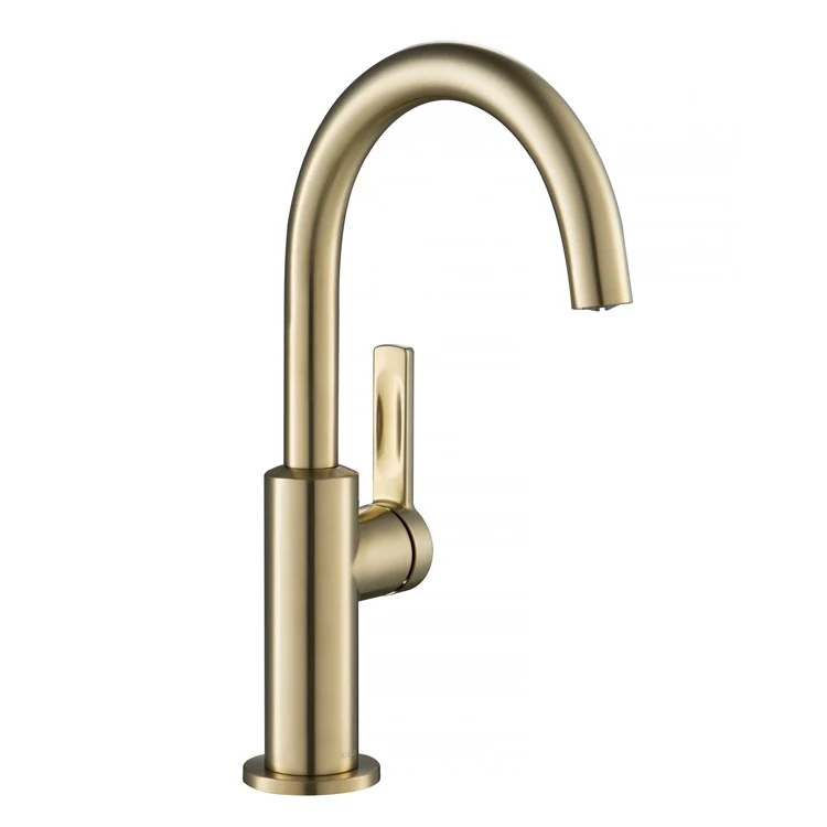 Oletto Single Handle Kitchen Bar Faucet - Frankwebs