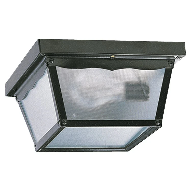 Signature Cage Two-Light Outdoor Flush Mount Ceiling Fixture - Frankwebs