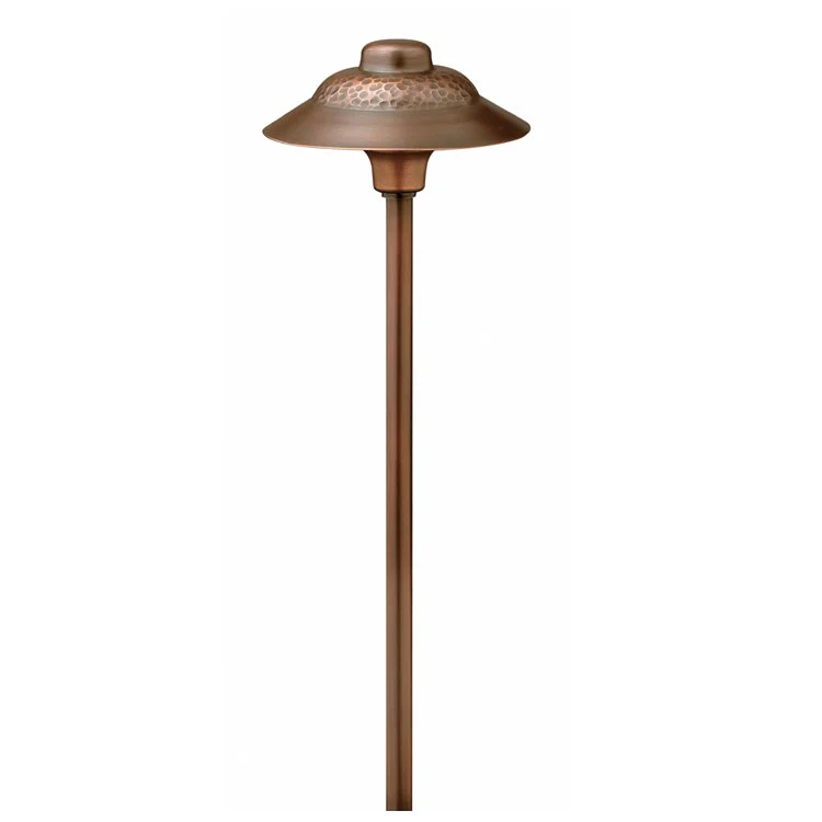 Essence 12-Volt Single-Light Landscape Path Light - Frankwebs