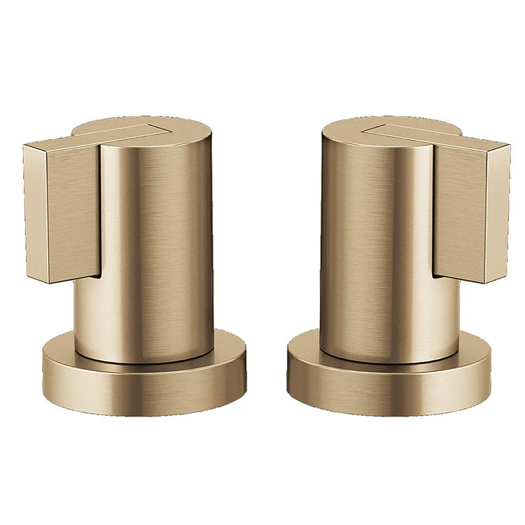 Litze Replacement Lever Handles for Roman Tub Faucet Set of 2 - Frankwebs