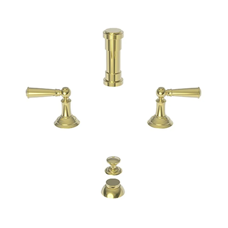 Bidet Faucet Aylesbury 8 to 16 Inch Spread 2 Lever ADA Satin Brass PVD - Frankwebs