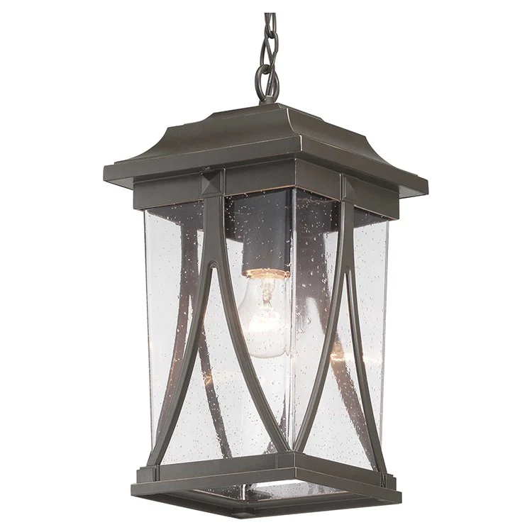 Abbott Single-Light Outdoor Hanging Lantern - Frankwebs