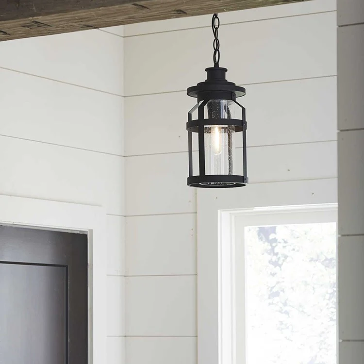 Haslett Single-Light Outdoor Hanging Lantern - Frankwebs